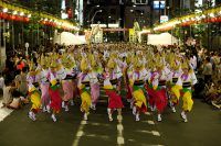 越谷に阿波踊りの季節がやってきたよ！